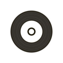 MediaRange CD-R Vinyle 700 Mo/80 min imprimable spindle 50