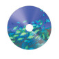 Verbatim CD-R AZO 700MB 52X plata imprimible inkjet wide Non-ID tarrina 50