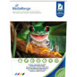 MediaRange DIN A4 Photo Paper for inkjet printers, dual-side high-glossy coated, 160g, 50 sheets