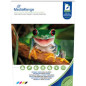 MediaRange Fotopapier DIN A4 für Tintenstrahldrucker, beidseitig hochglänzend, 160g, 50 Blatt MediaRange Fotopapier DIN A4 für Tintenstrahldrucker, beidseitig hochglänzend, 160g, 50 Blatt