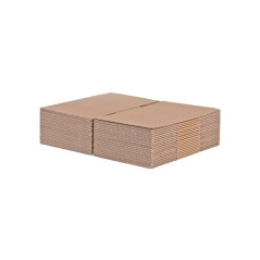 Lot de 20 - Boîtes en carton 160mm x 120mm x 110mm AMER NORMAL AVEC LANGUETTE