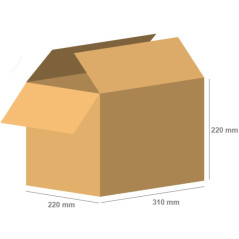 Lot de 20 - Boîtes en carton 310mm x 220mm x 220mm AMER NORMAL AVEC LANGUETTE