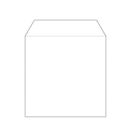Pack 100 paper CD sleeves with flap, without window