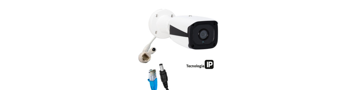 Telecamere IP di videosorveglianza | DVDi.es