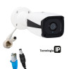 IP-Kameras